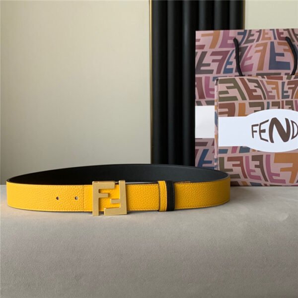 FND Belt AAB - immagine 2
