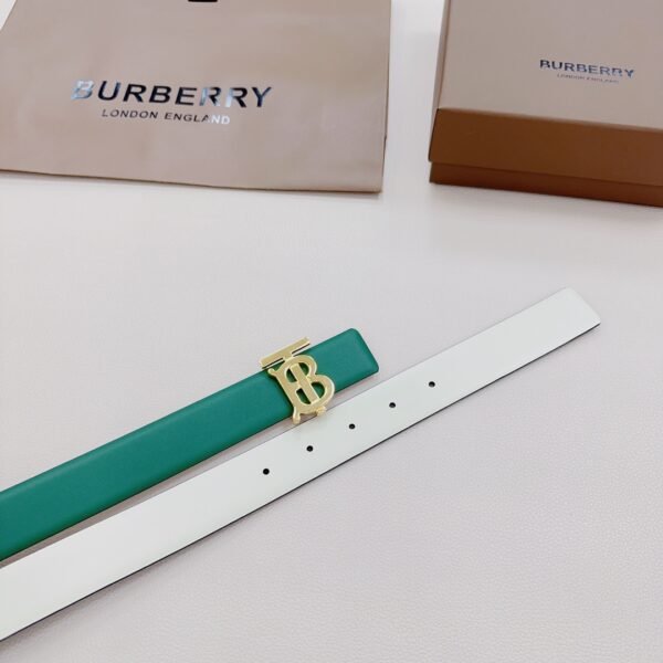 BRBRY Belt AAT - immagine 4