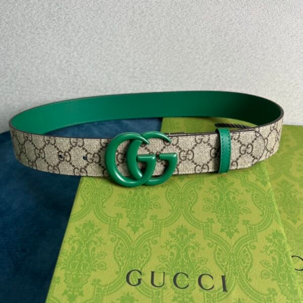 GCC Belt AAH - immagine 2