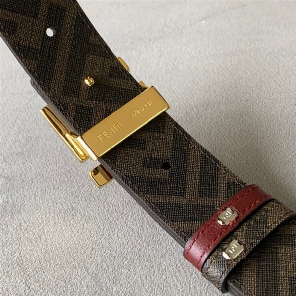 FND Belt AAI - immagine 5