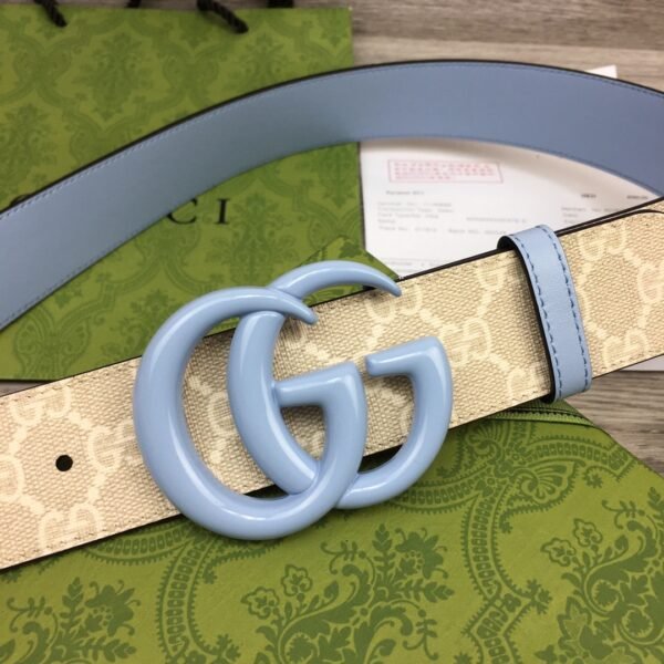 GCC Belt AAE - immagine 3