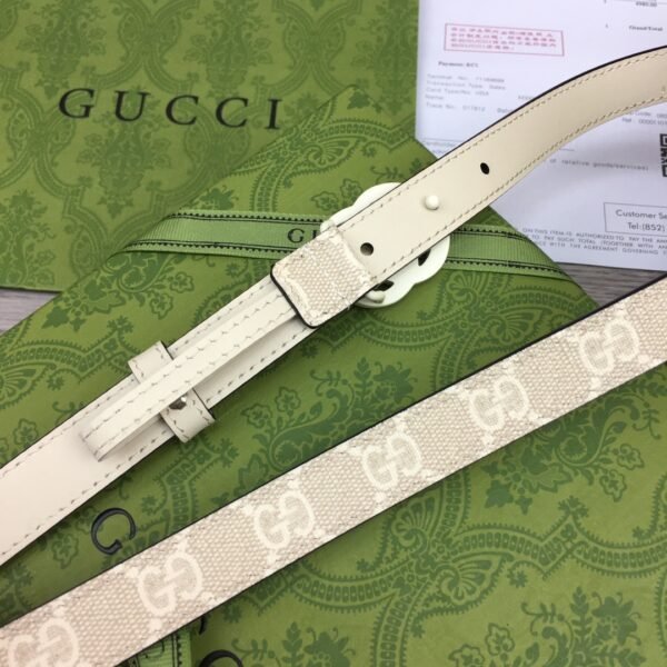 GCC Belt AAC - immagine 3