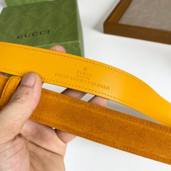 GCC Belt AAP - immagine 4