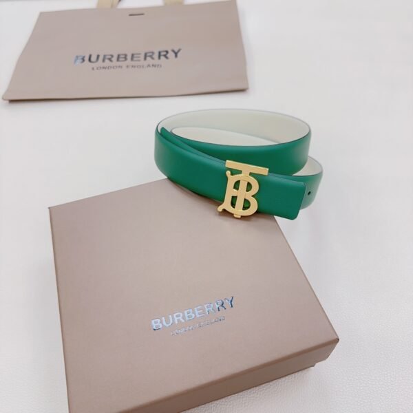 BRBRY Belt AAT - immagine 3