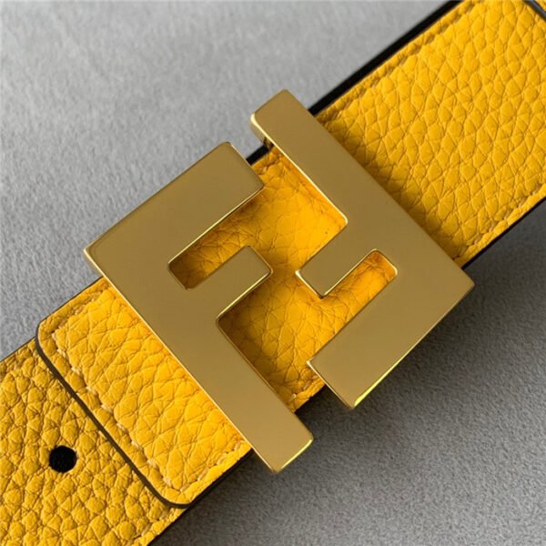 FND Belt AAB - immagine 3