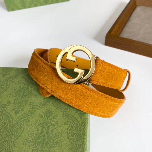 GCC Belt AAP - immagine 2