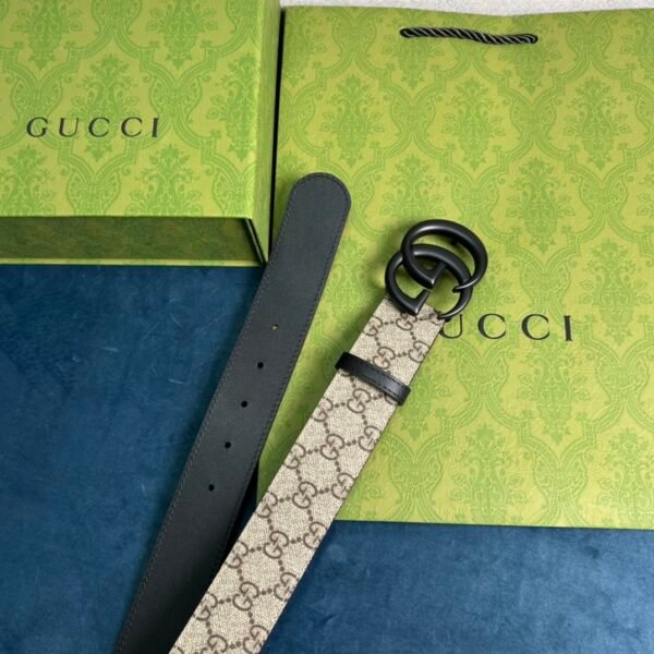 GCC Belt AAI - immagine 3