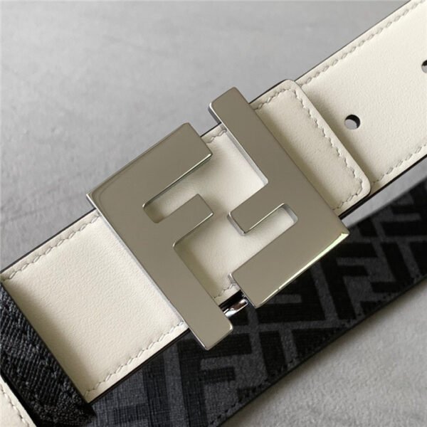 FND Belt AAJ - immagine 3