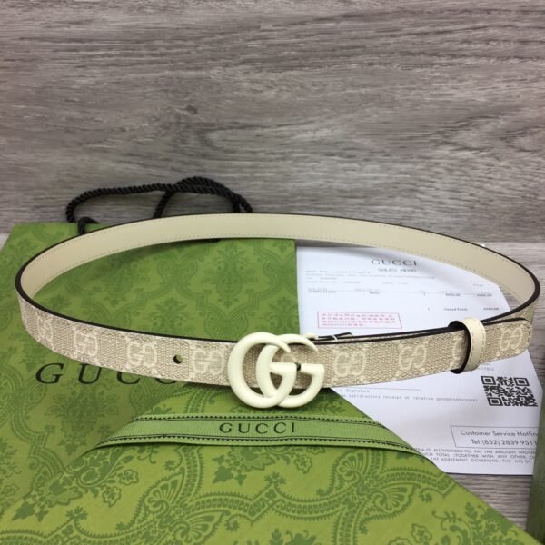 GCC Belt AAC - immagine 2