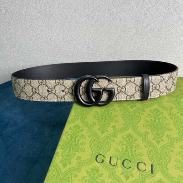 GCC Belt AAI - immagine 2