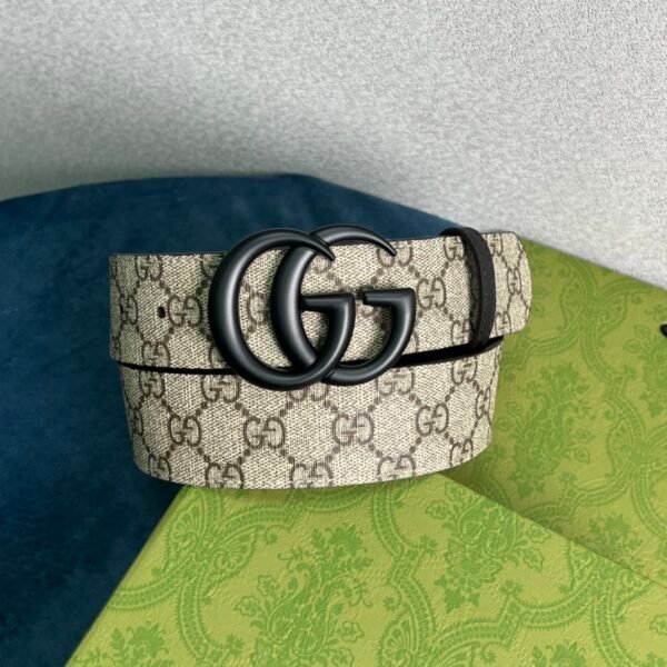GCC Belt AAI - immagine 4