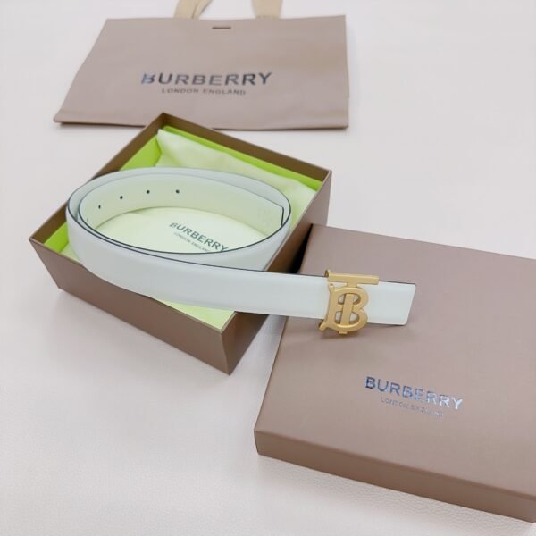 BRBRY Belt AAR - immagine 3