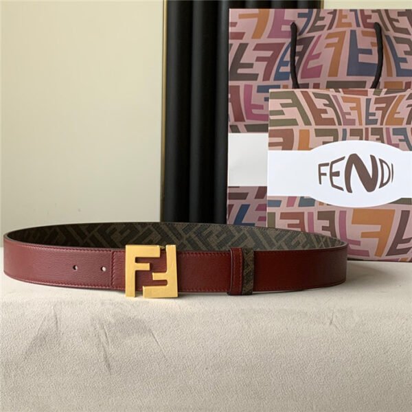 FND Belt AAI - immagine 2