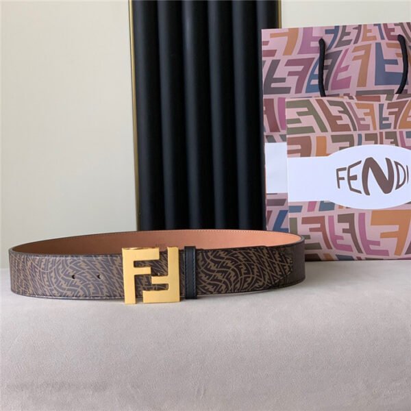 FND Belt AAP - immagine 2